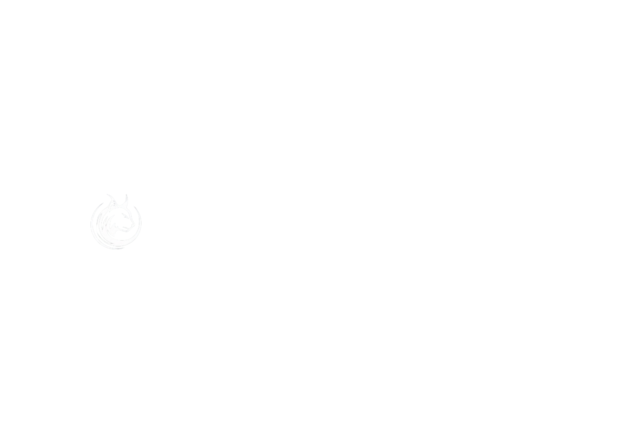 logo not found